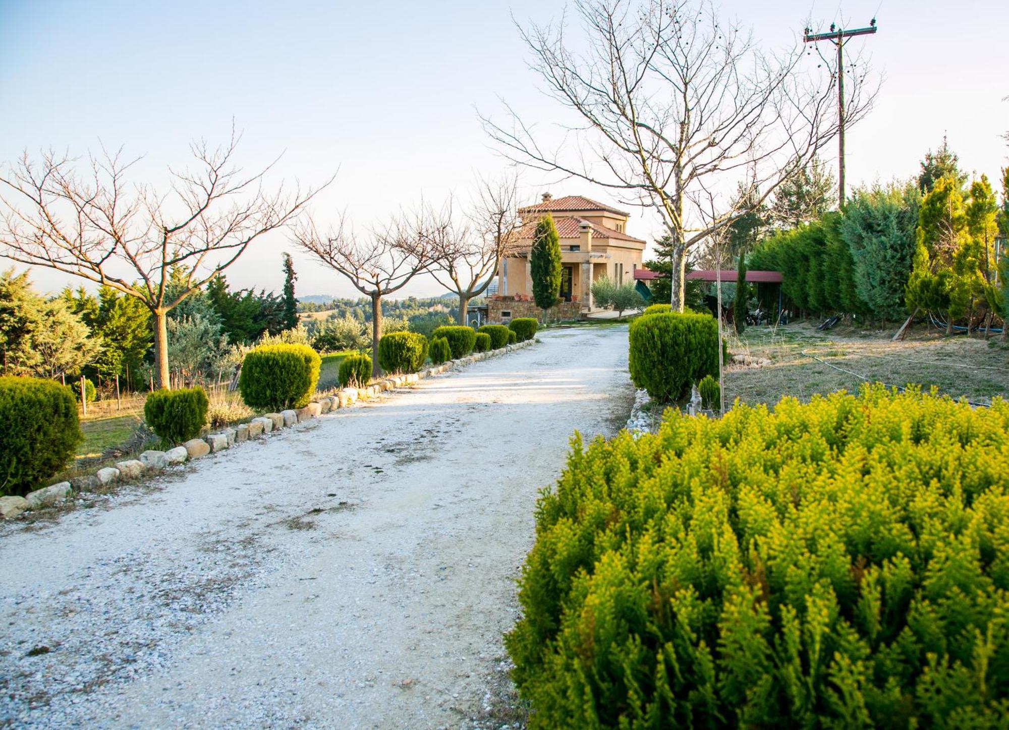 Porgio Mountain View Villa *