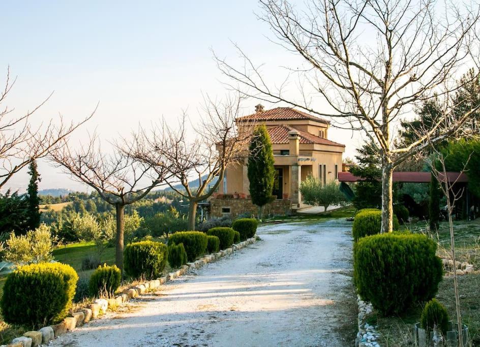 Porgio Mountain View